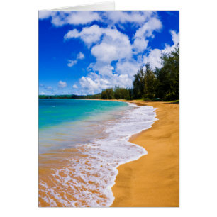 Paradis de plage tropical, Hawaï