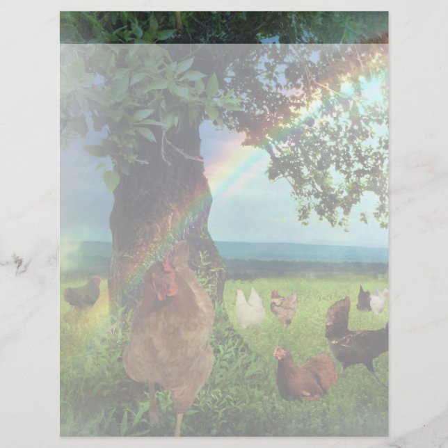 Paradis du Poulet (Devant)