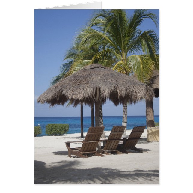 Paradis mexicain de la plage (Devant)