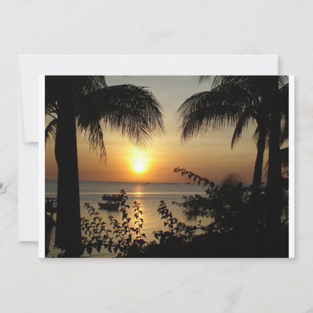 Paradis tropical (Devant)