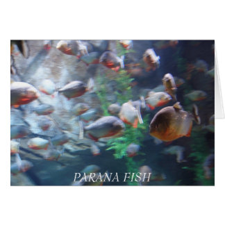 Parana