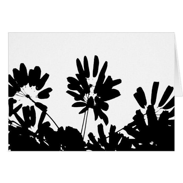 Parapluies (Devant horizontal)