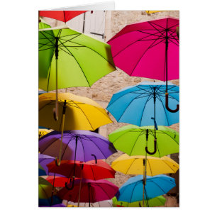 Parapluies vibreuses et colorées