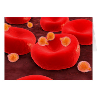 Parasites du paludisme dans les cellules de sang r