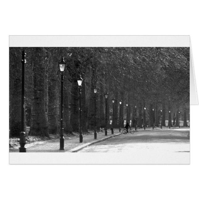 Parc Battersea (Devant horizontal)