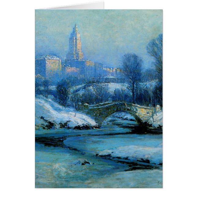 Parc de Cnetral en hiver (Devant)