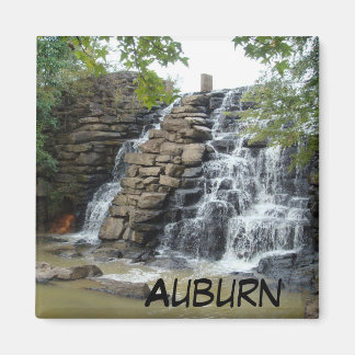 Parc d'état de Chewacla Cascade d'Auburn Magnet ph