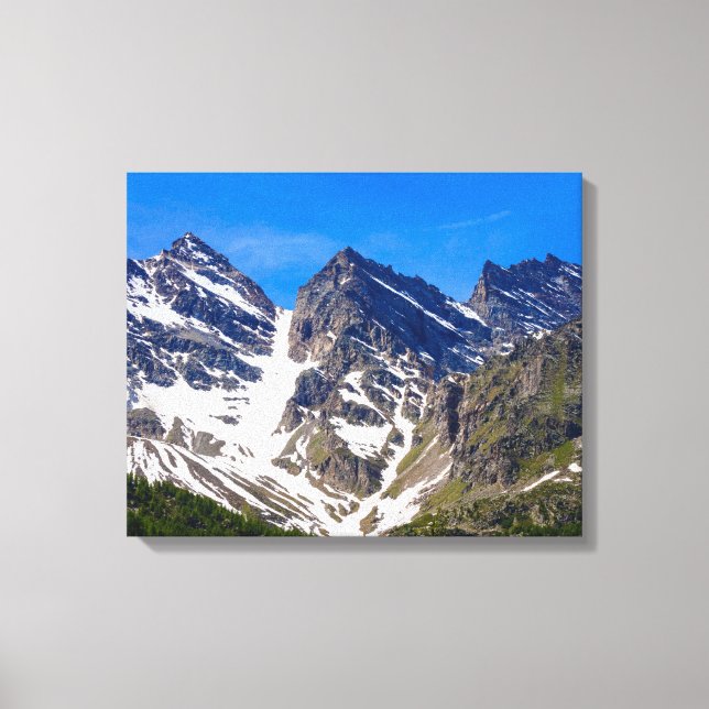 Parc du Grand Paradis, sur toile tendue (Recto)