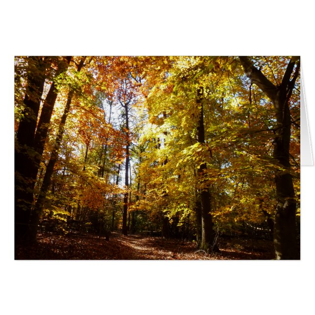 Parc Greenbelt en automne II Scène de la nature da (Devant horizontal)