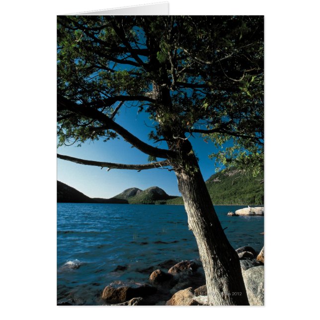 Parc national Acadia, London Pond, Maine (Devant)