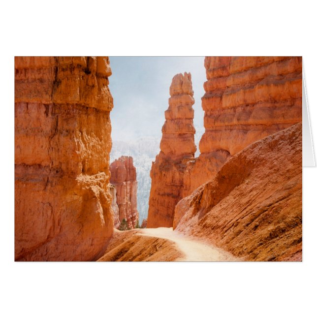 Parc national Bryce Canyon Trail (Devant horizontal)