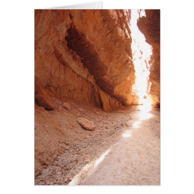 Parc national de Bryce Canyon, Utah (Devant)