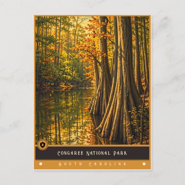 Parc national de Congaree | Carte postale ancienne (Devant)