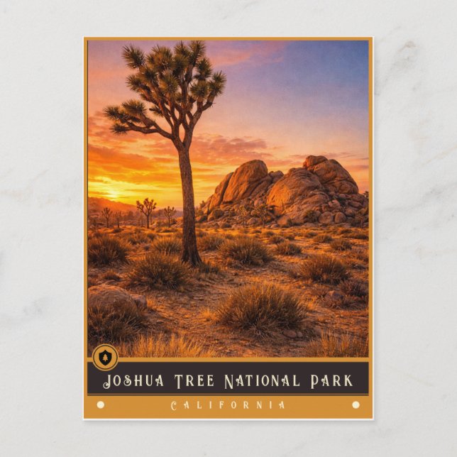 Parc national de Joshua Tree | Carte postale ancie (Devant)