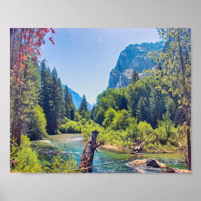 Parc national de Kings Canyon | Poster (Devant)