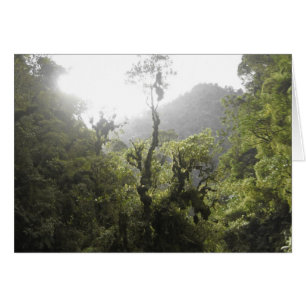 Parc national de Manu