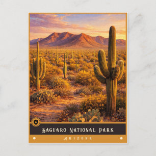 Parc national de Saguaro   Carte postale ancienne 