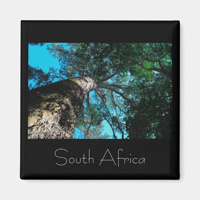 Parc national de Tsitsikamma Magnet Afrique du Sud (Devant)