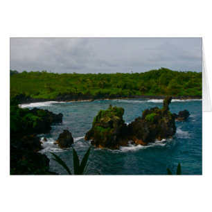 Parc national de Waianapanapa, Maui