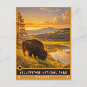 Parc national de Yellowstone   Carte postale ancie