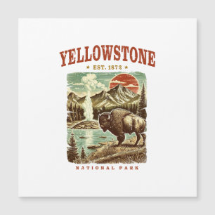 Parc national de Yellowstone - Montagne et Bison
