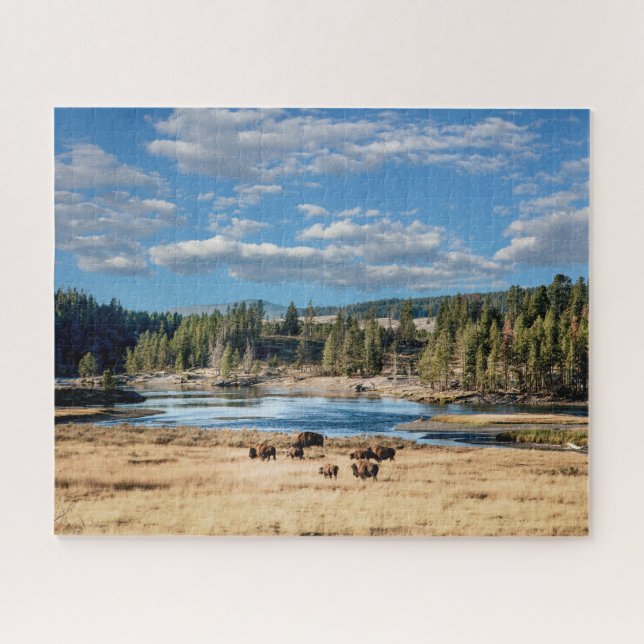 Parc national de Yellowstone : Puzzle Buffalo (Horizontal)