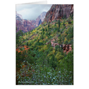 Parc national de Zion Canyon