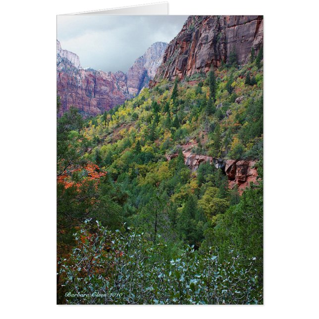 Parc national de Zion Canyon (Devant)