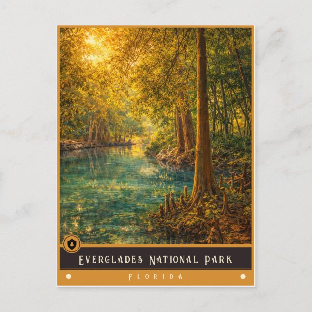 Parc national des Everglades | Carte postale ancie (Devant)