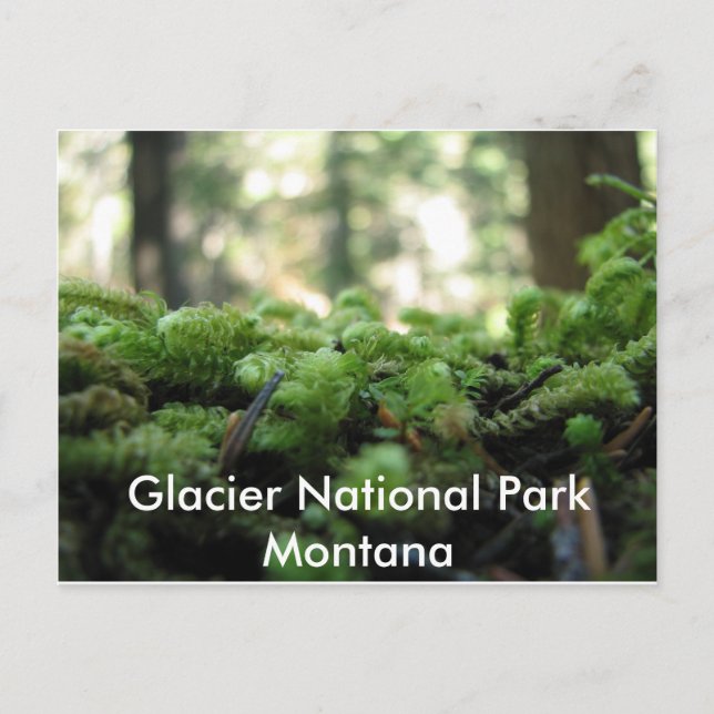 Parc national des Glaciers, Montana Mossy Carte po (Devant)