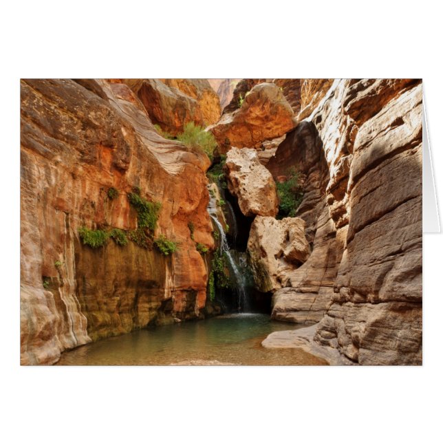 Parc national du Grand Canyon, Arizona (Devant horizontal)