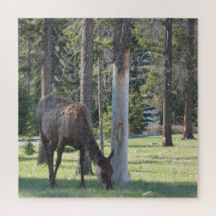 Parc national Jasper, Alberta Canada Puzzle