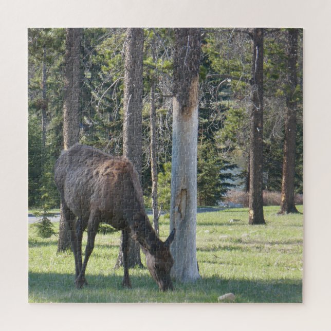Parc national Jasper, Alberta Canada Puzzle (Vertical)