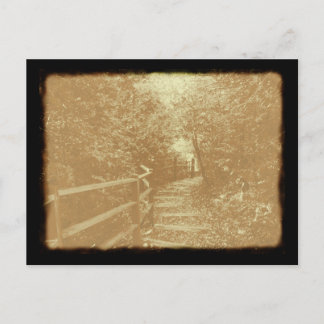 Parc Peterson, Northport, Michigan - Carte postale