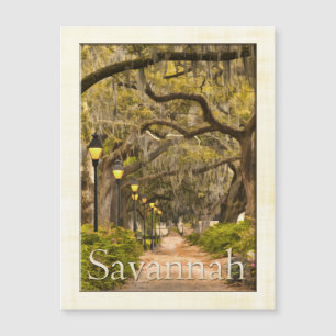 Parc vintage de Forsyth - la savane, GA,