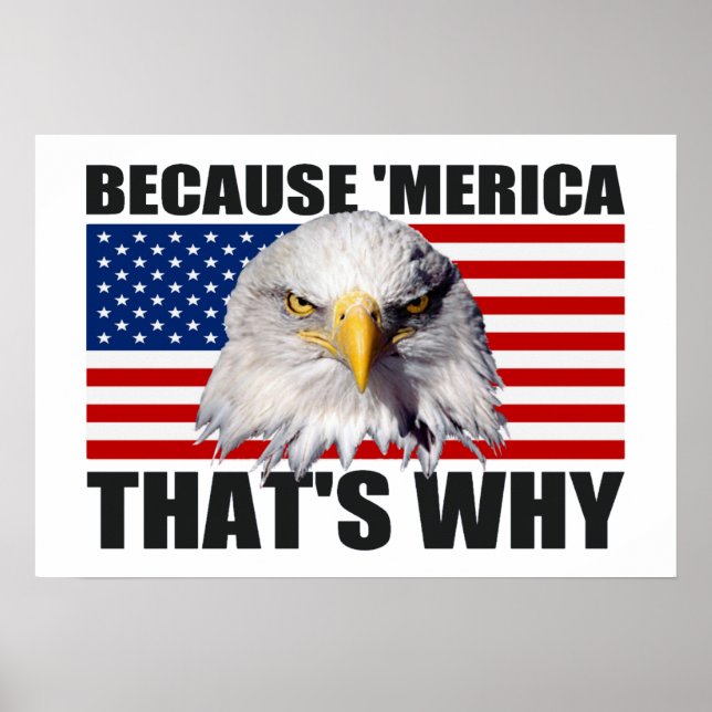 PARCE QUE 'MERICA C'EST POURQUOI US Drapeau Poster (Devant)