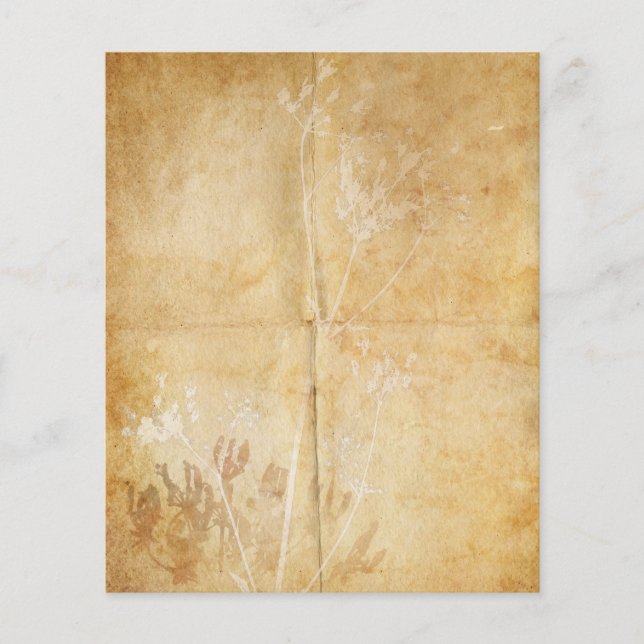 Parchemin d'aquarelle dentelle de la reine Anne (Devant)