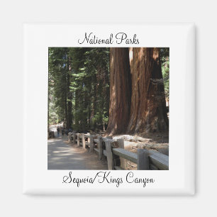 Parcs nationaux - Sequoia/Kings Canyon Magnet