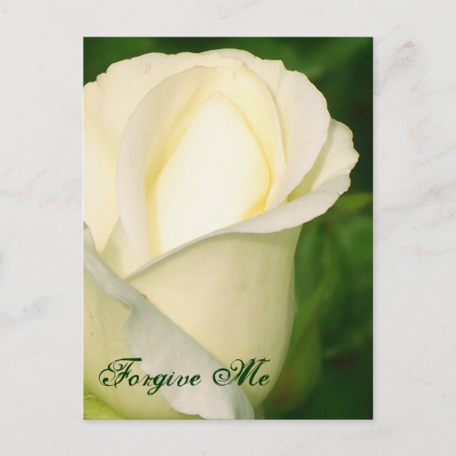 Pardonnez-moi/ N'Importe Quelle Carte Postale Occa (Devant)