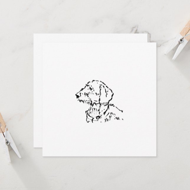 Parent de chien teckel à poil dur (Devant/Arrière en situation)
