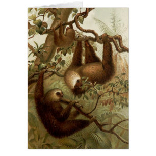 Paresses du cru (1894) - dans un arbre,