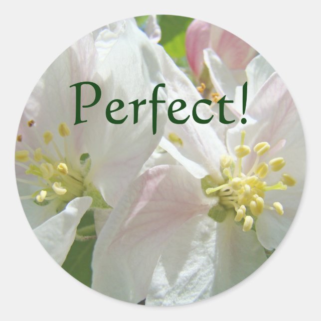 Parfait ! autocollants personnalisés Fleurs de Pom (Devant)