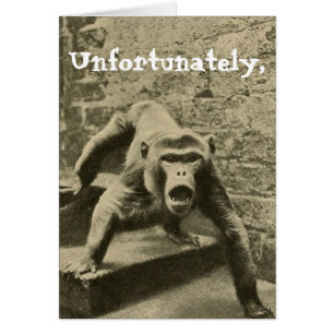 Parfois c'est ton cirque, ils sont tes singes