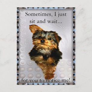 Parfois, j'attends juste une carte postale personn