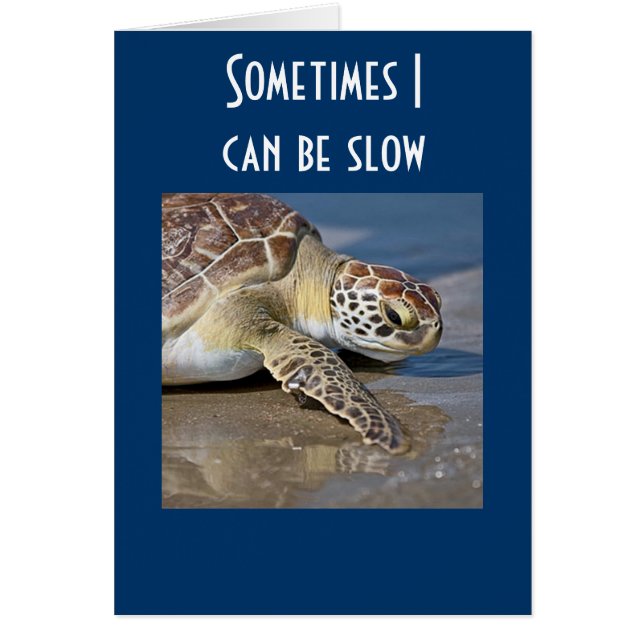 PARFOIS JE PEUX ÊTRE LENT (Devant)