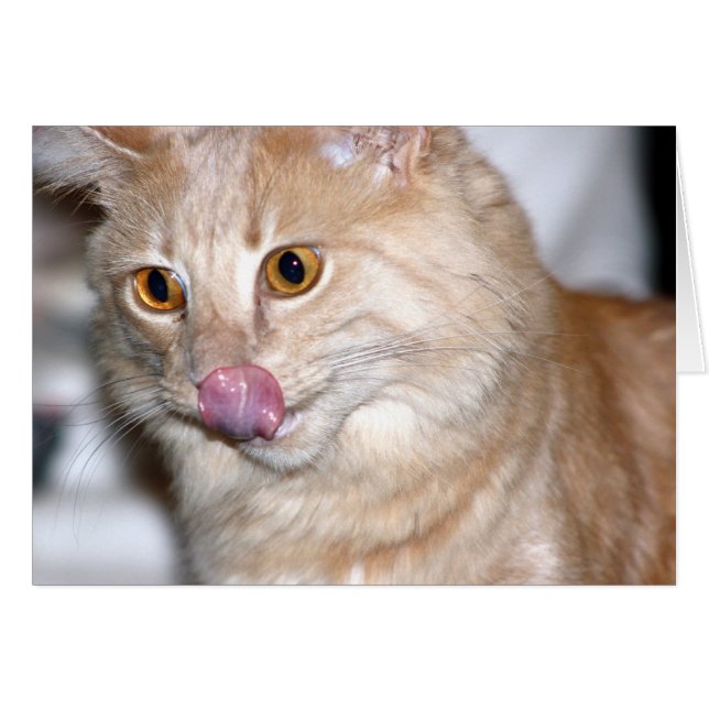 Parfois, j'essaie d'être normal (Devant horizontal)