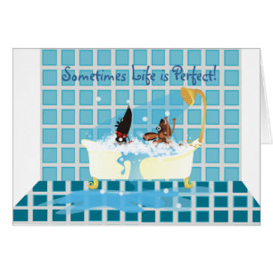 Parfois la vie est parfaite !