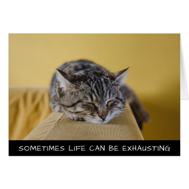 Parfois, La Vie Peut Être Épuisante Cute Chat (Devant horizontal)