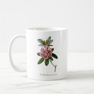 Parfums doux de l'été : Rhododendron viscosum Mug
