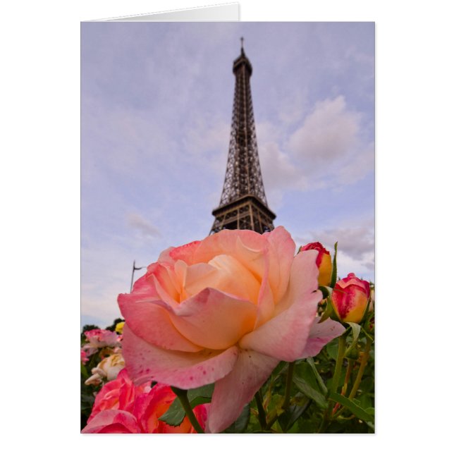 Paris au printemps est toujours une bonne idée (Devant)